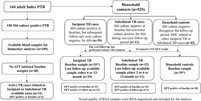 Host blood-based biosignatures for subclinical TB and incipient TB: A prospective study of adult TB household contacts in Southern India